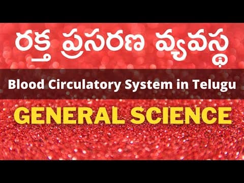 రక్త ప్రసరణ వ్యవస్థ | Human Blood Circulatory System in Telugu | Functions, Types, How it works?