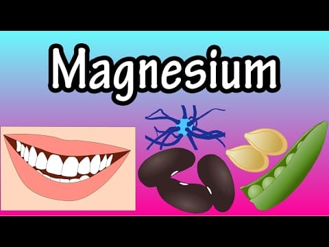Magnesium - How Much Magnesium Does The Body Need - Why Does The Body Need Magnesium