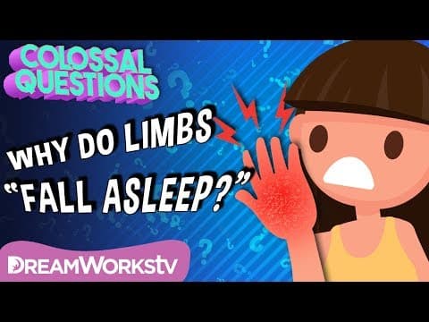 Why Do Body Parts “Fall Asleep”? | COLOSSAL QUESTIONS