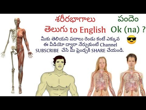 శరీర భాగాల పేర్లు ఇంగ్లీషులో నేర్చుకోండి - body names - telugu to english