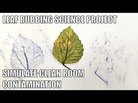 Simulate Clean Room Contamination with Crayon Leaf Rubbings