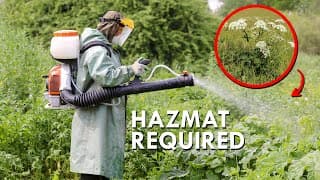 Don't Touch This Plant