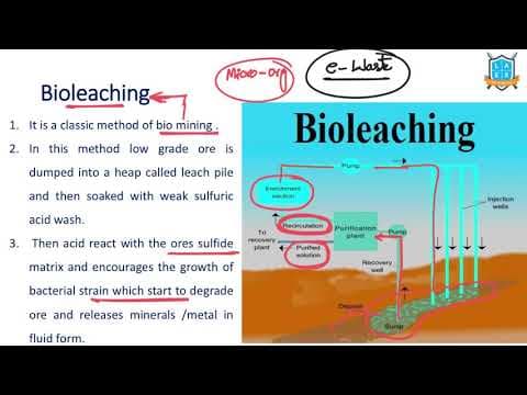 What is Bio Leaching ? || Bio Leaching అంటే ఏమిటి?