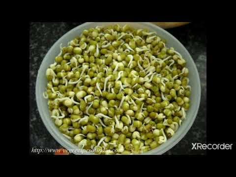 FOOD: WHERE DOES IT COME FROM?