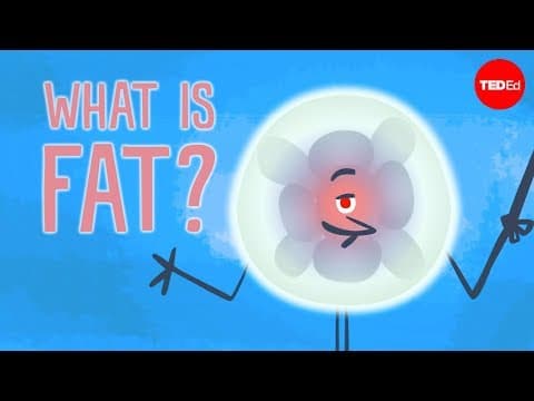 What is fat? - George Zaidan - YouTube