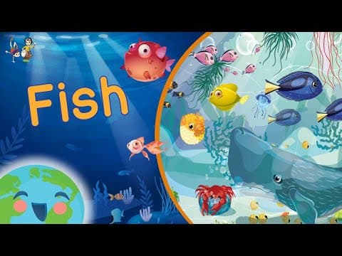Fish For Kids (Learning Videos For Kids)