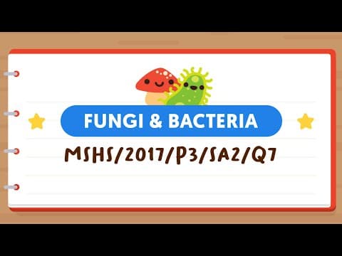 PSLE SCIENCE MADE SIMPLE EP89 | Fungi & Bacteria | Statements About Bacteria