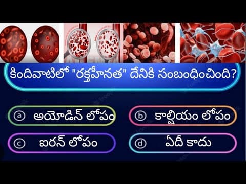 BK Quiz // Telugu Quiz // General knowledge questions // Interesting questions