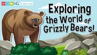 Get Ready to Roar: Exploring the World of Grizzly Bears!
