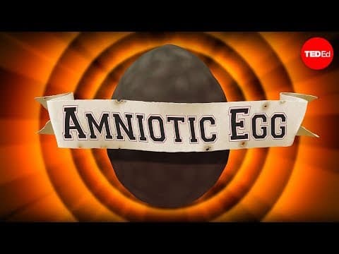 The game-changing amniotic egg - April Tucker - YouTube