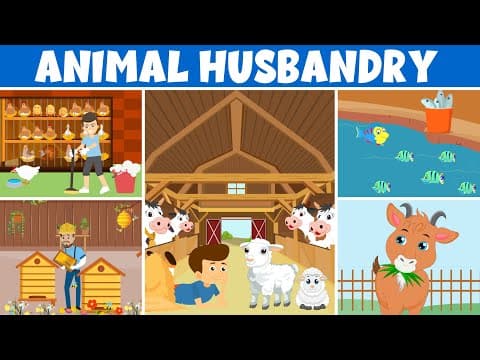 Types of Animal Husbandry - Benefits, Key Aspects, Examples, Process, Importance and more... #kids