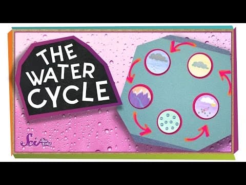 Where Does Water Come From? | Ecology for Kids - YouTube