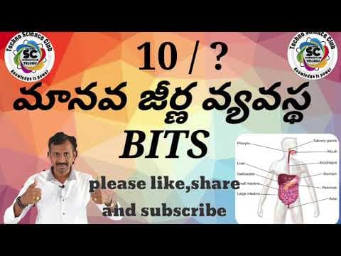 science quiz - 12 | Human digestive system మానవ జీర్ణ వ్యవస్థ bits