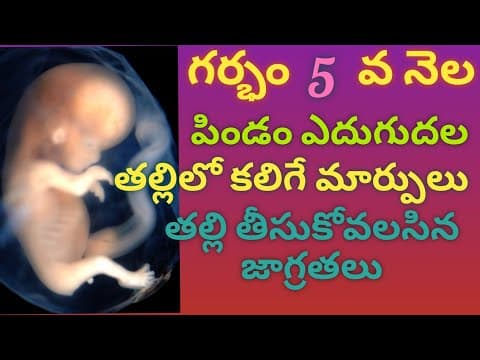 Pregnancy 5th month symptoms - pregnancybabygrowth