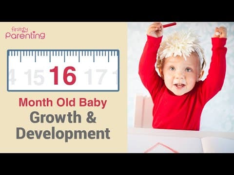 Your 16 month old baby's growth & development