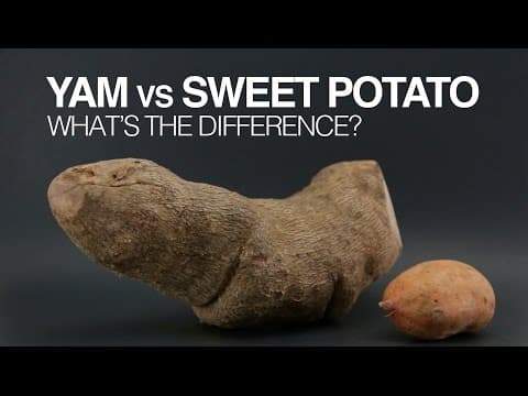 Yams vs Sweet Potatoes: What's the Difference?