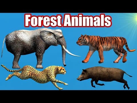 Forest Animals Learning Entertainment Game for Kids - Wild 3D Animals Sounds