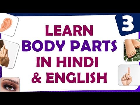 Learn body in hindi and english part 3 - spoken hindi through telugu
