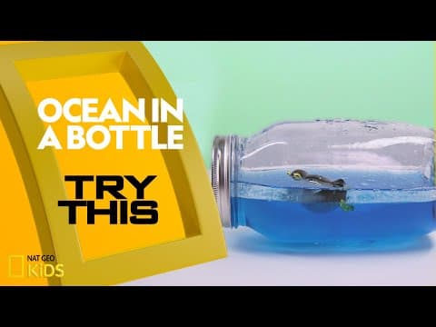 Ocean in a bottle - try this