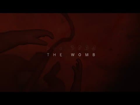 The womb-asmr-  360 vr fetus position relaxation