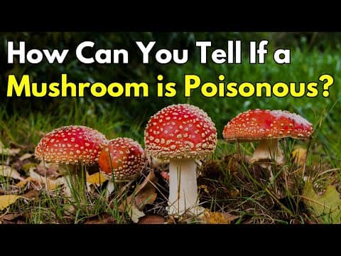 How Can You Tell If a Mushroom is Poisonous