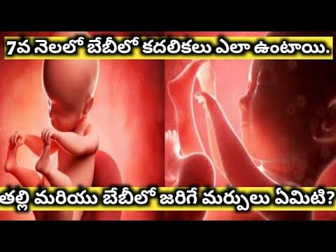 7th month pregnancy in Telugu || Pregnancy 7th month baby movements ||7th month baby changes in womb