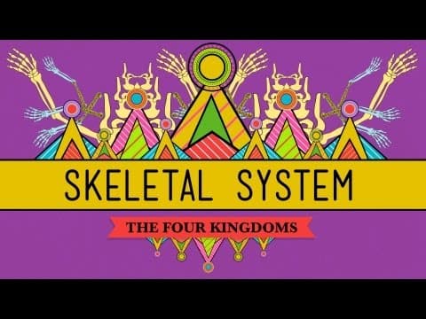 The Skeletal System: It's ALIVE! - CrashCourse Biology #30 - YouTube