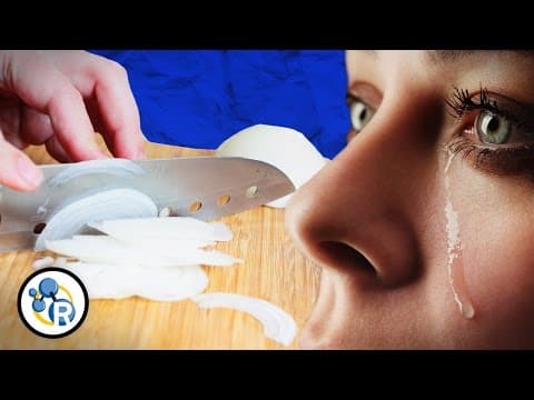 Why Do Onions Make You Cry?