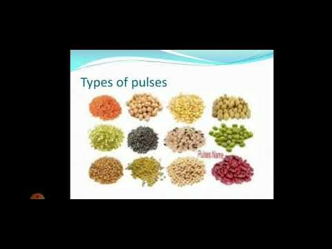 EVS | Class 5 | Seeds and Seeds