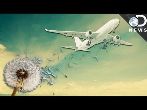 What Makes Airplanes Light Enough To Fly?