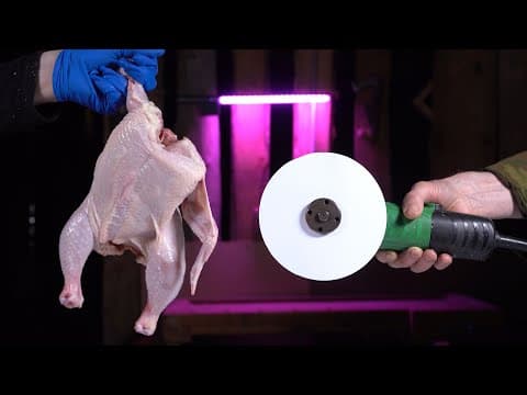 16 things you can Cut with Paper