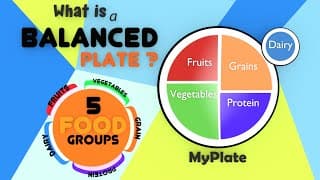 The Food Pyramid for Kids|Balanced Diet|Food Groups And Nutrition|Healthy Plate for Kids