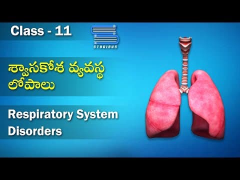 శ్వాస కదలిక నియంత్రణ- Regulation and Disorders of Respiratory System