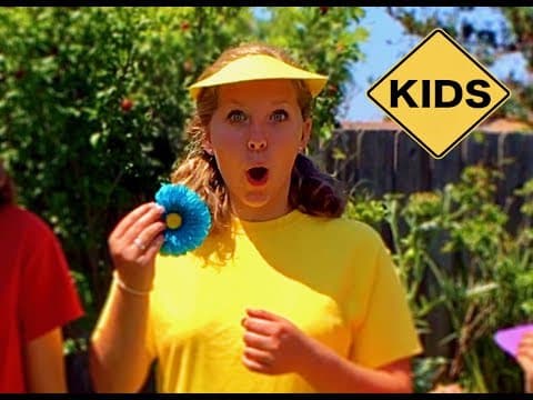 Summer Accessories Learn English Colors