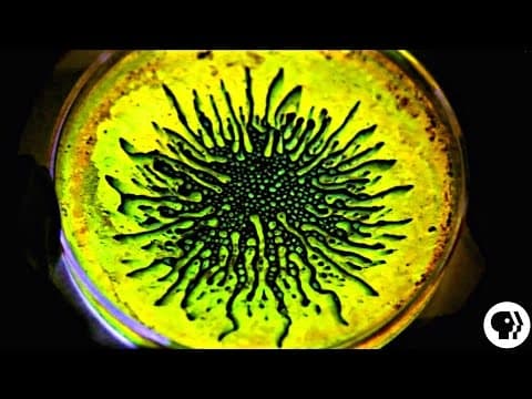 AMAZING Ferrofluid and Glow Sticks