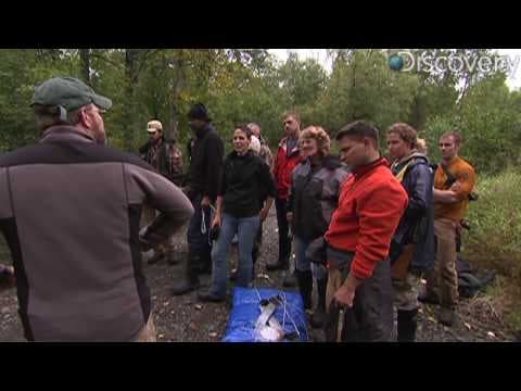 How to Cross a River - YouTube