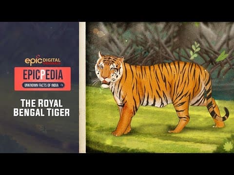 The Royal Bengal Tiger | EPICPEDIA - Unknown Facts of India | EP 4 | EPIC Digital Originals