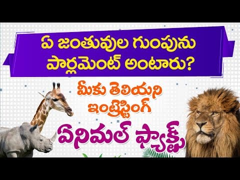 Interesting animal facts - 2 - knowledge games
