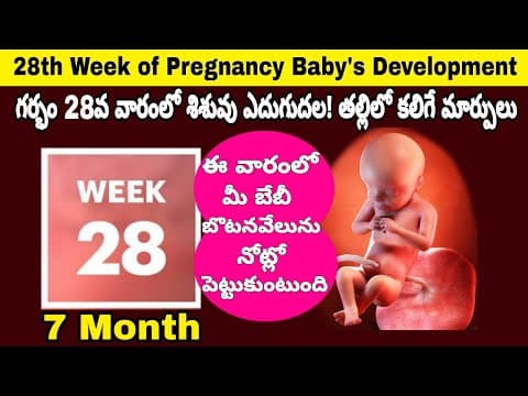 28th Week of Pregnancy Symptoms, Changes & Baby Development | 28th Week of Pregnancy in telugu