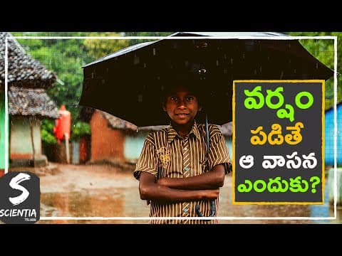 What Causes The Smell Of The Rain?