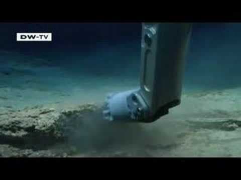 Exploring the deep - life under the Sea