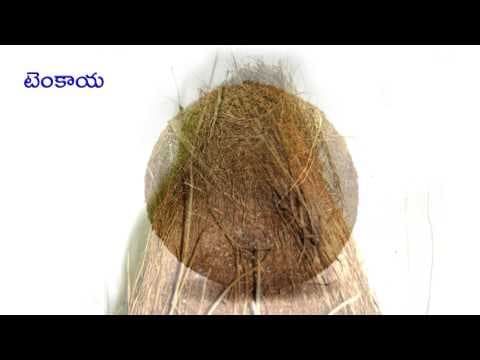 Podupu kathalu telugu riddles episode 25