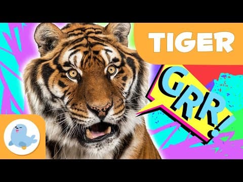 Tiger 🐯 Animals for Kids 🌲 Episode 12