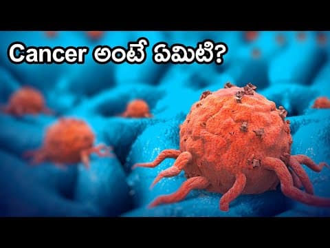 What Is Cancer  -  Cancer Causes, Types, Treatment