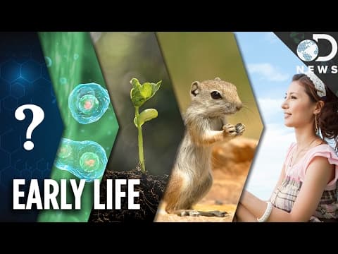 Life May Have Existed A Billion Years Earlier Than We Thought