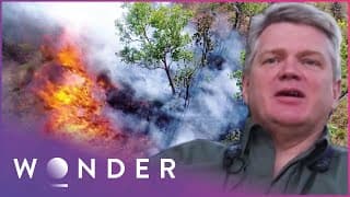 The Survivalist Fighting Vicious Wildfires With Fire | Australian Wilderness | Wonder