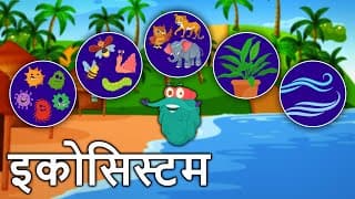 इकोसिस्टम | पारितंत्र | Ecosystem In Hindi | Dr Binocs Show | Types Of Ecosystem | Binocs Ki Duniya