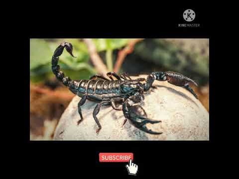 భూమి కింద ఉన్న నగరం