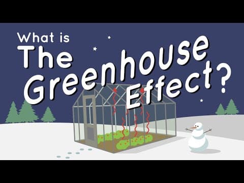 What Is the Greenhouse Effect