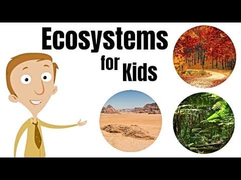 Ecosystems for Kids - YouTube
